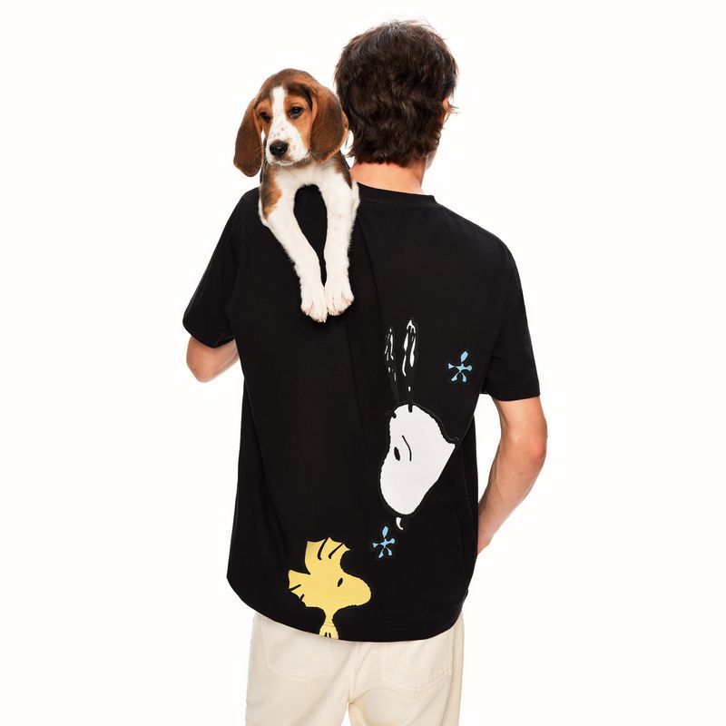 3色展開 男女兼用 ゆったり Tシャツ C-50045