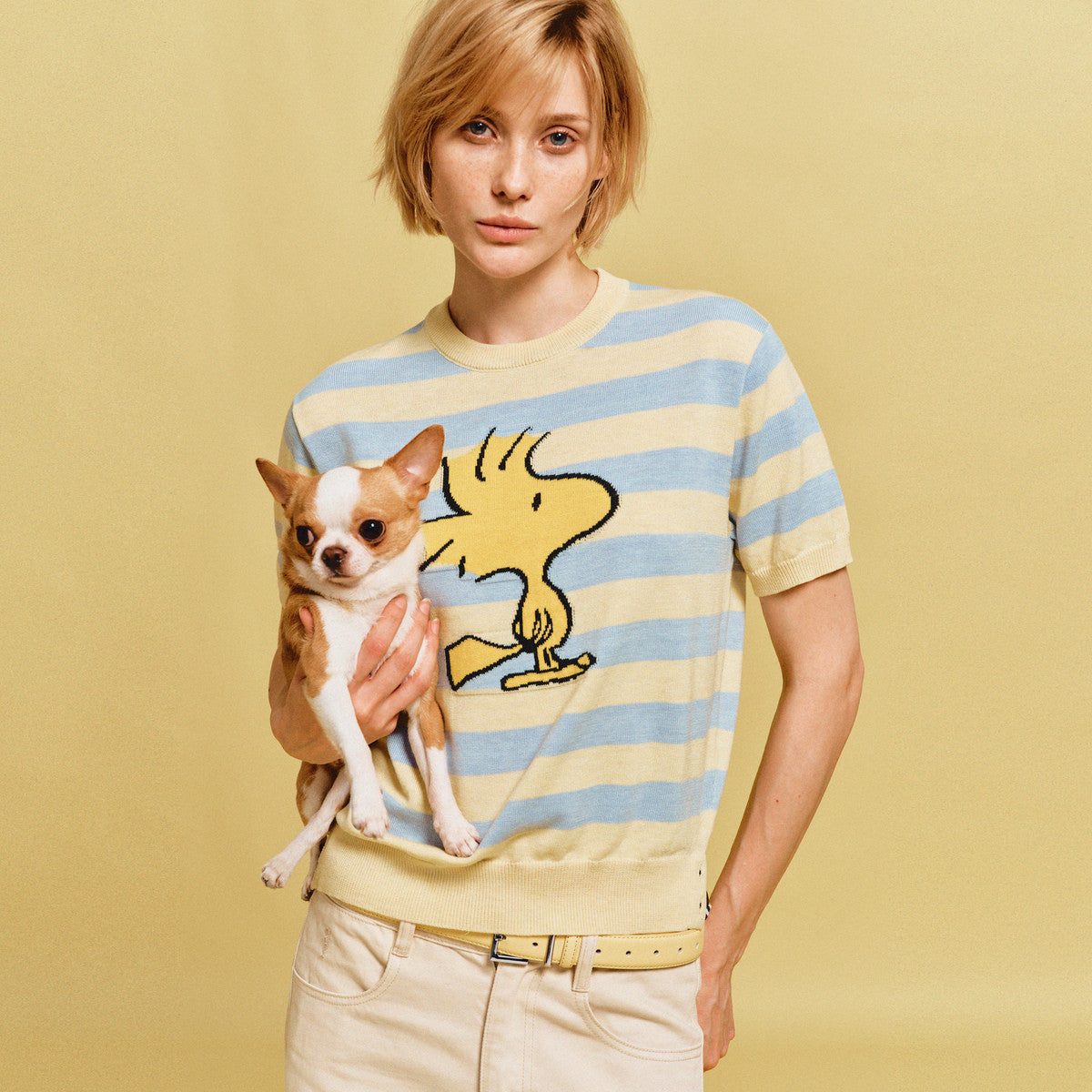 2色展開 着瘦せ ボーダー Tシャツ C-50044