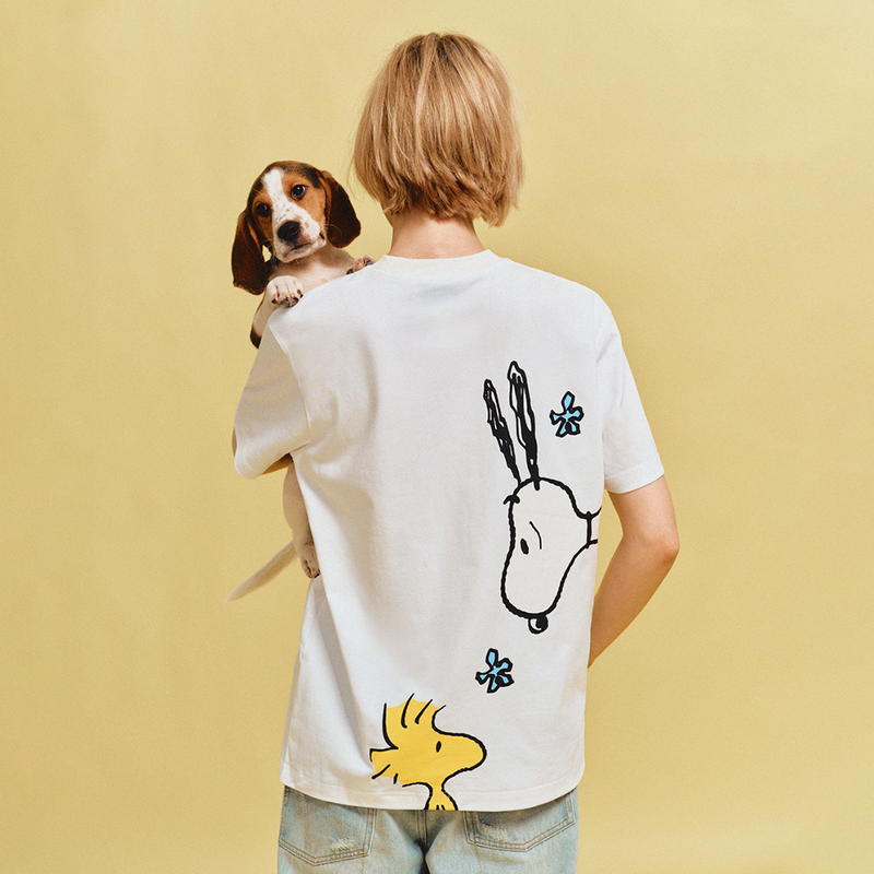3色展開 男女兼用 ゆったり Tシャツ C-50045